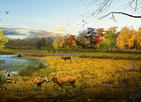 ��¹Է��̬԰�������